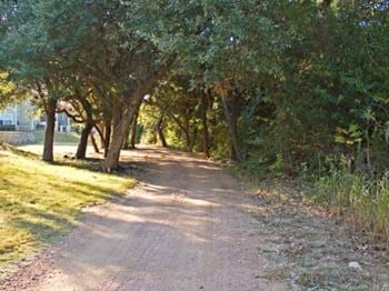 a dirt road with trees on both sides